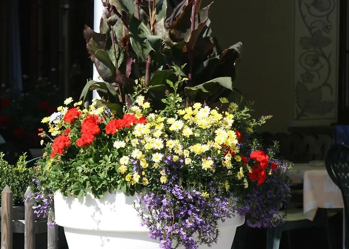 拉科鲁纳酒店 塞德龙